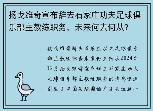 扬戈维奇宣布辞去石家庄功夫足球俱乐部主教练职务，未来何去何从？