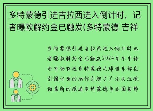 多特蒙德引进吉拉西进入倒计时，记者曝欧解约金已触发(多特蒙德 吉祥物)